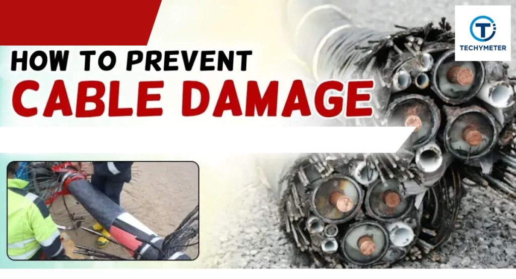 Storage Tips to Prevent Cable Damage and Signal Loss