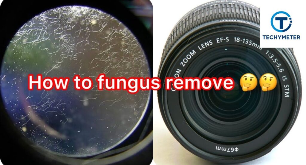 How to Clean Fungus Inside a Camera Lens