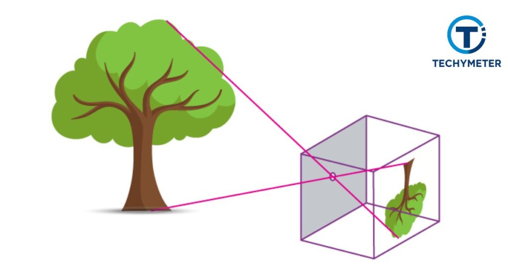 Why are Images inverted in a Pinhole Camera?