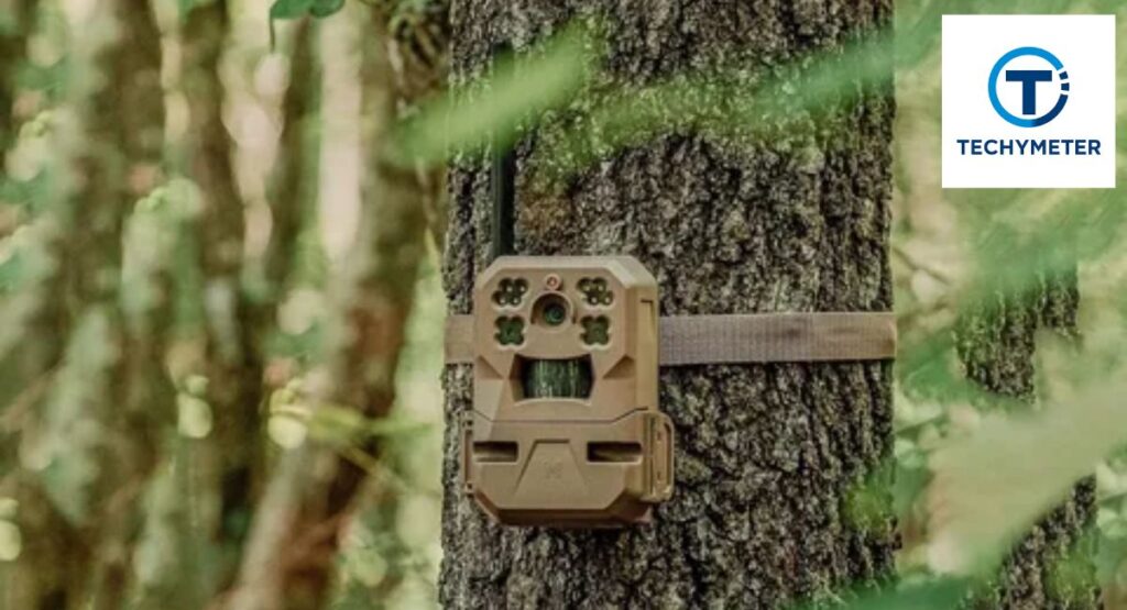 What Are Moultrie Trail Cameras and How Do They Work?