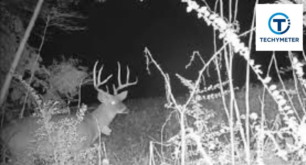 Night Vision and Infrared Technology Used by Moultrie