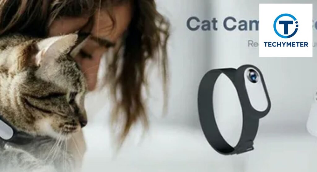 What Are Cat Collar Cameras?