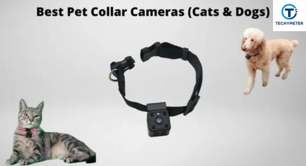 Best Cat Collar Camera Recommendation (Expert Picks)