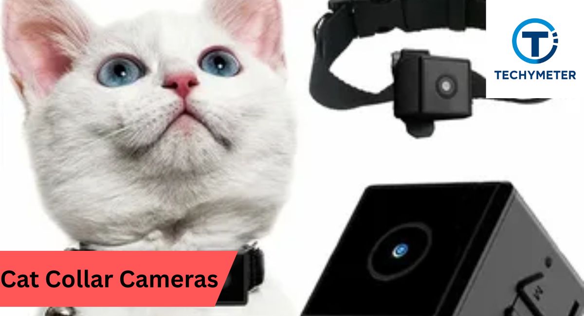 Cat Collar Cameras