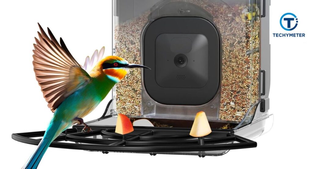 Are Bird Feeder Cameras Actually Worth It?