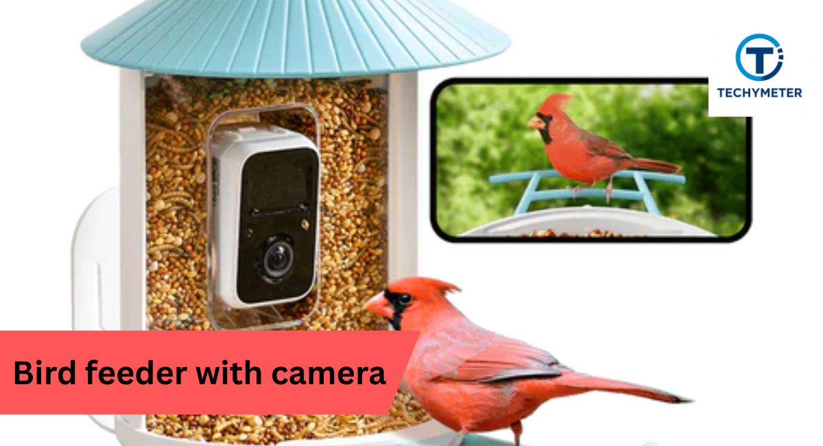 Bird Feeder Cameras