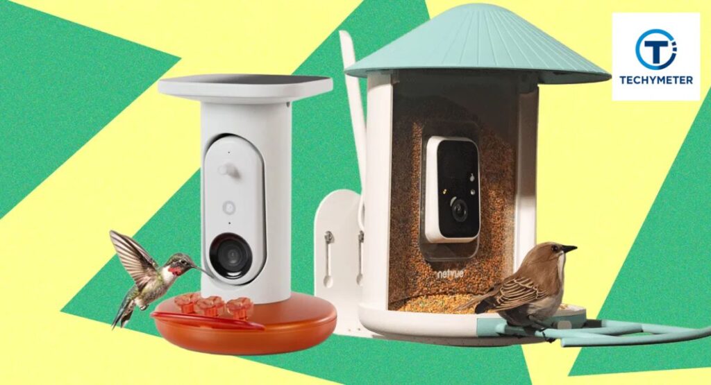 Best Bird Feeder Cameras