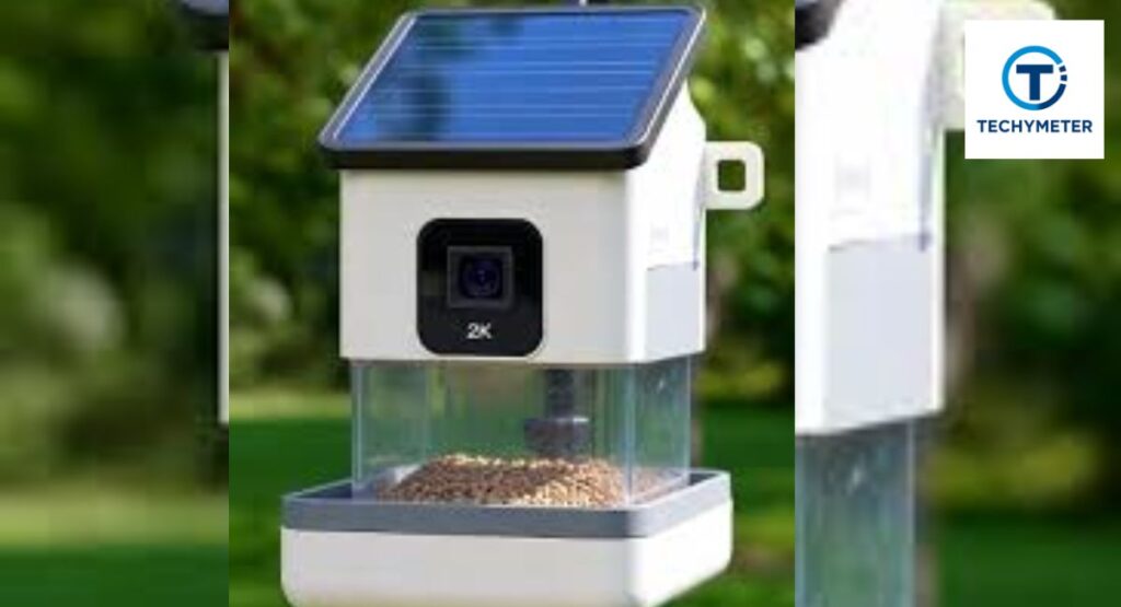Birdkiss Smart Solar Feeder Camera — Best Solar-Powered Pick