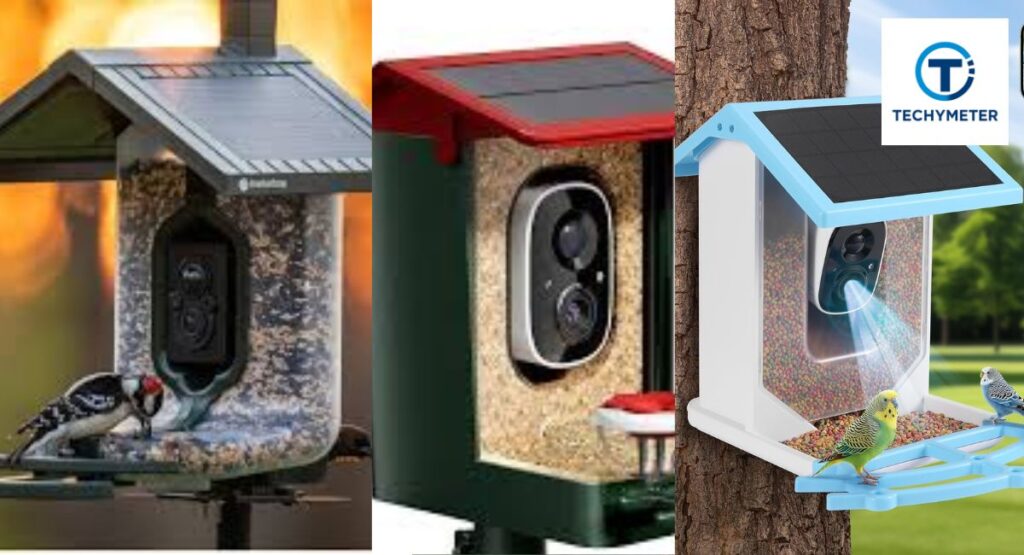 Best Solar-Powered Bird Feeder Cameras