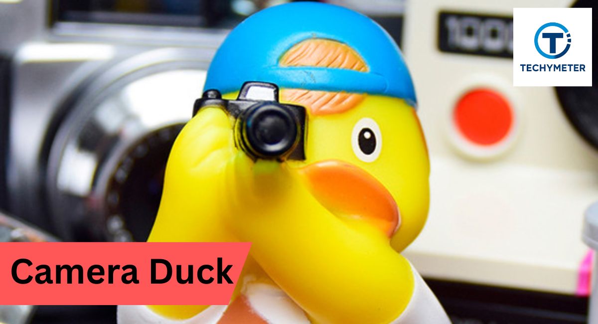 Camera Duck