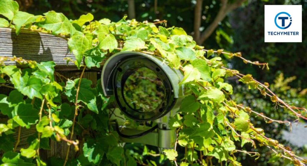Garden or Yard Camouflage